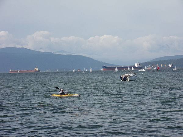 SDC12819.jpg