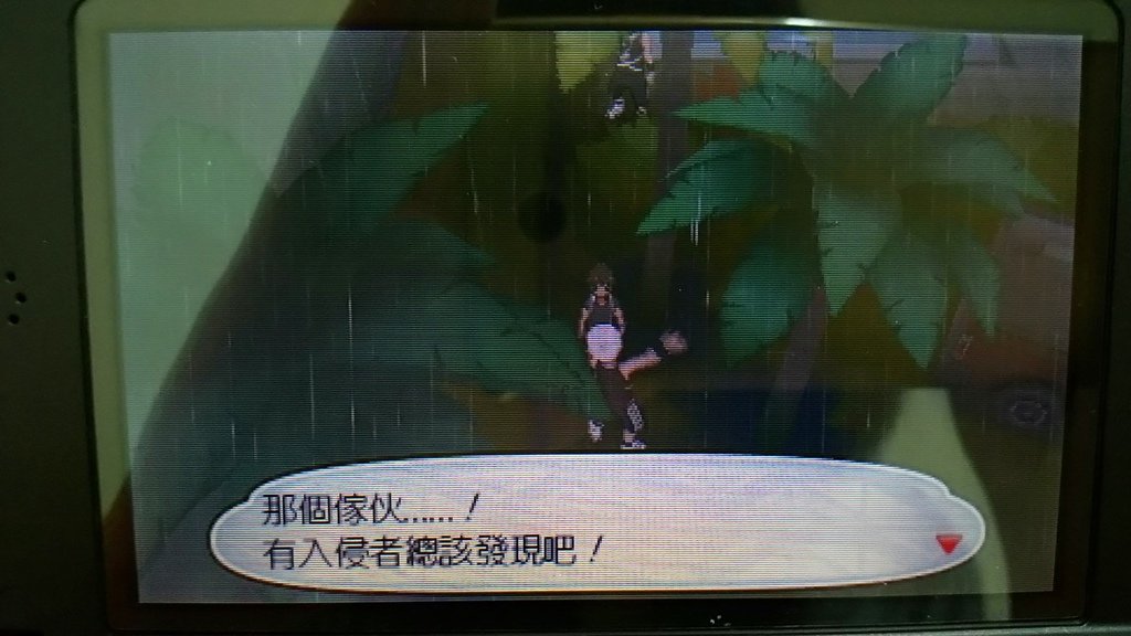 SM_d (8).JPG