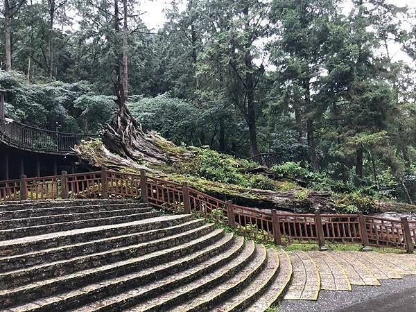 【南投景點】溪頭自然教育園區~差點被閃電打中