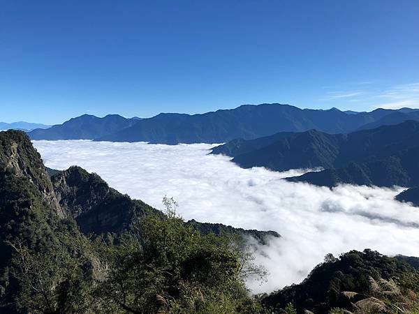 【嘉義景點】阿里山國家森林遊樂區