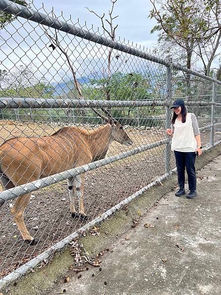 【台東景點】牧野度假村動物園