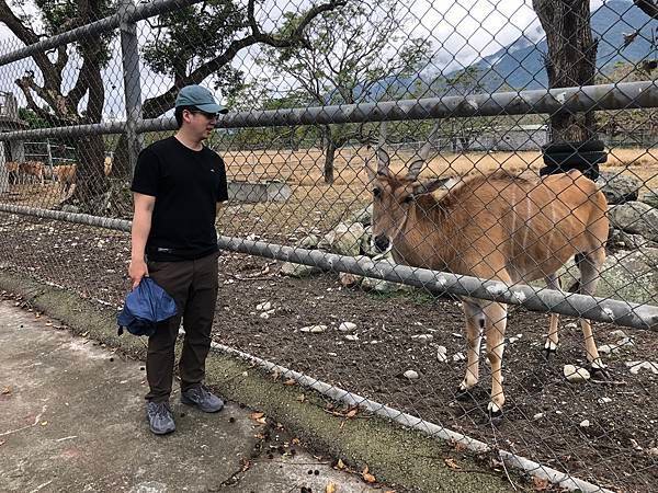 【台東景點】牧野度假村動物園