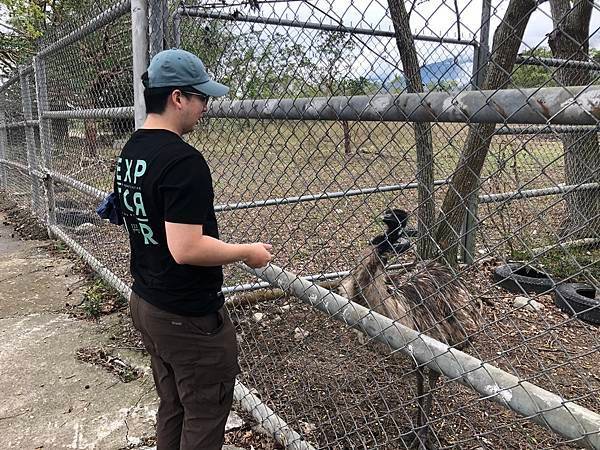 【台東景點】牧野度假村動物園