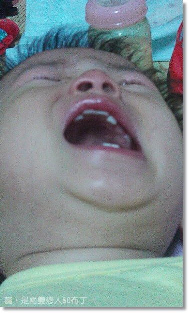 IMAG0137.jpg