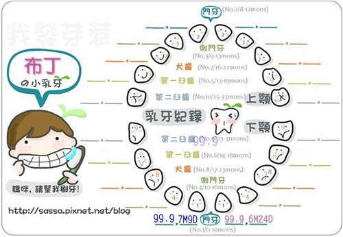 發芽圖-小白二號.jpg