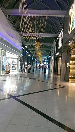 IMAG0288.jpg