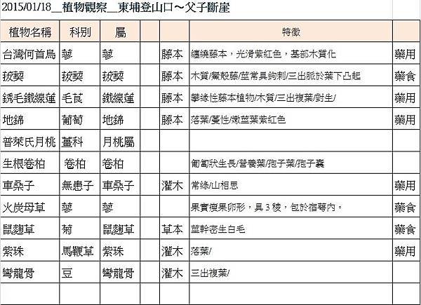 植物觀察1-3.jpg