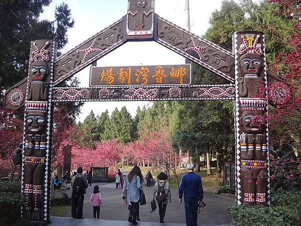 九族櫻花祭(29).JPG