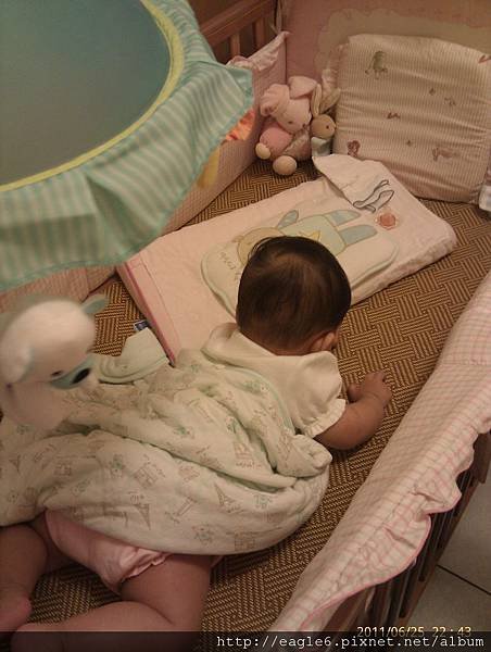 IMAG0785.jpg