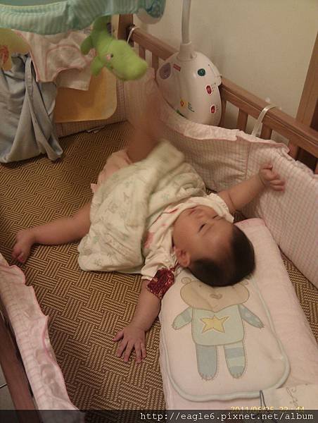 IMAG0787.jpg