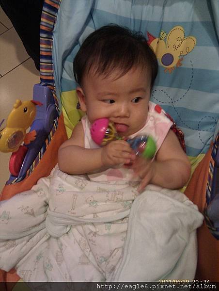 IMAG0822.jpg