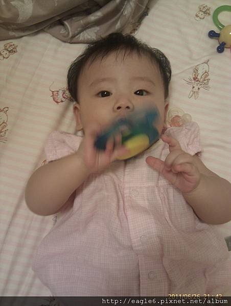 IMAG0802.jpg