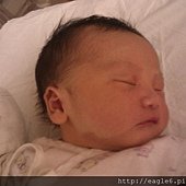 IMAG0632