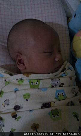 IMAG0678