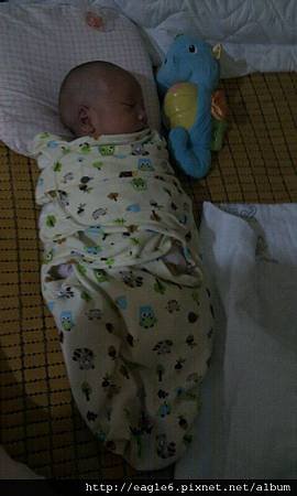 IMG-20120827-WA0000