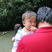 IMG_4394.JPG