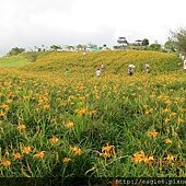 IMG_4576.JPG