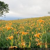 IMG_4623.JPG