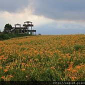 IMG_4657.JPG