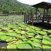 IMG_4717.JPG