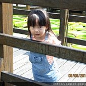 IMG_4719.JPG