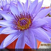 IMG_4755.JPG