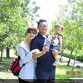IMG_4799.JPG
