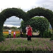 IMG_9751.JPG
