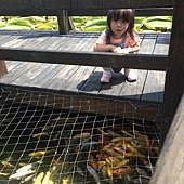IMG_9940.JPG