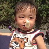 IMG_9988.JPG