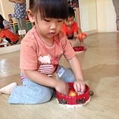 IMG_0242.JPG