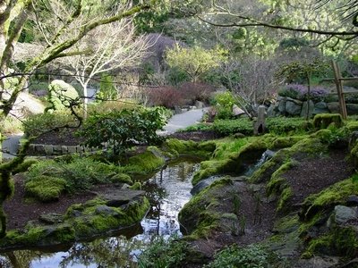 Japanese Garden