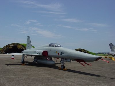 RF-5E 虎眼式戰鬥偵察機  Tigereye