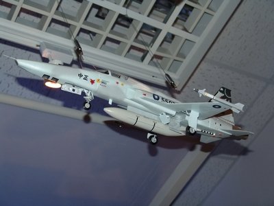 RF-5E 虎眼式戰鬥偵察機 Tigereye