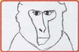S.jpg