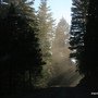IMG_3085.JPG