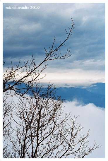 寒冬暖陽的太平山 2.jpg