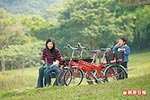 通宵賞花海 4.jpg
