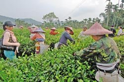 全民找茶去2.jpg