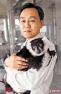 非洲白頸狐猴 3.2..jpg