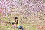 新竹 尖石賞桃花 3.22..jpg