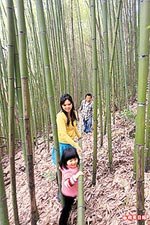 新竹 尖石賞桃花6.jpg