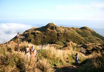 七星山步道 2.jpg