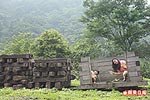 復興坑可以看到煤礦時代 6.18..jpg