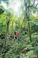 步道總長約4公里 6.9..jpg