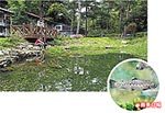 櫻花鉤吻鮭生態中心 7.14..jpg