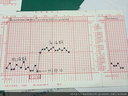 基礎體溫表-空白 (長庚)範例2.JPG