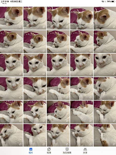 6404F45F-3974-4BF8-91CA-33DB29C6CB65.png