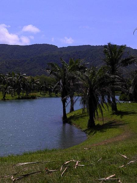 2011-06-19 10.28.37.jpg