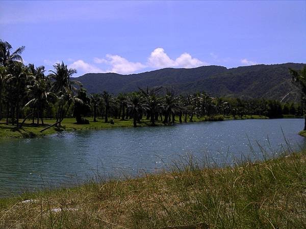 2011-06-19 10.27.16.jpg